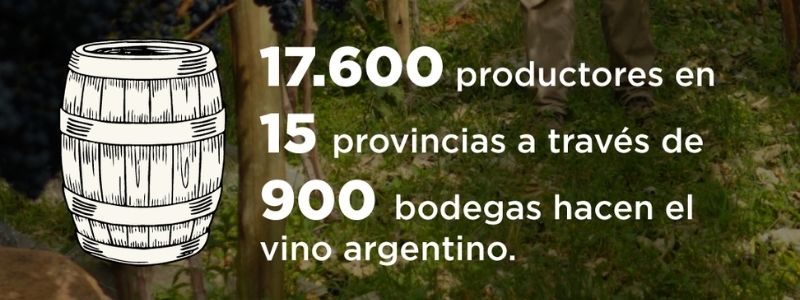 vino-argentino-bebida-nacional
